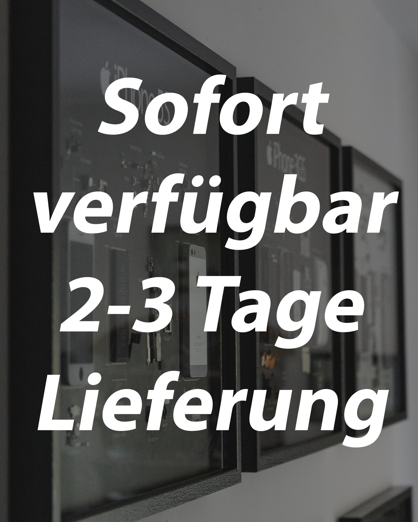 Sofort verfügbar, 2-3 Tage Lieferung